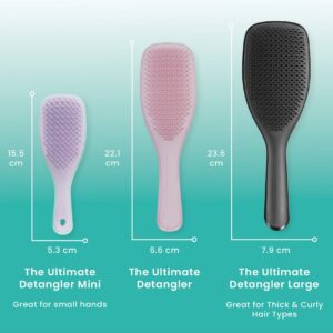 TANGLE TEEZER Ultimate Detangler Mini Hairbrush Lavender 1 u