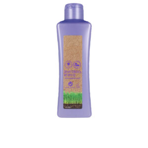 SALERM BIOKERA GRAPEOLOGY Champú 300 ml